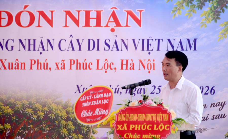 Hai[-]c&acirc;y[-]Đa[-]cổ[-]thụ[-]th&ocirc;n[-]Xu&acirc;n[-]Ph&uacute;[-]được[-]c&ocirc;ng[-]nhận[-]C&acirc;y[-]Di[-]sản[-]Việt[-]Nam